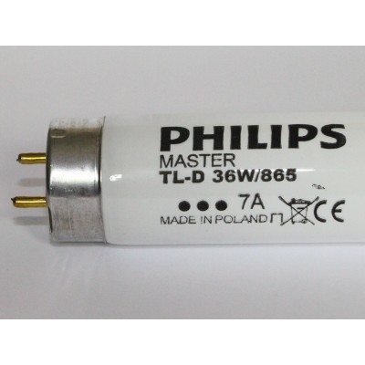 PHILIPS MASTER TL-D 18w/865 8A Made in Poland CE TagesLicht Lampe 60cm Neon 