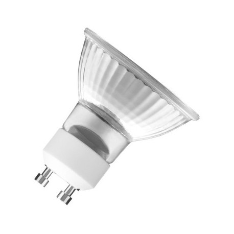 moord rol Strikt Halogeen lamp GU10 50W 230V