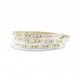 Ruban à LED 4000°K 5m 120 LED/m 60W IP20 12V