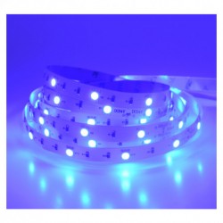 Ruban à LED bleu 5m 30 LED/m IP65 12V. Puissance 36W ( 7,2 watts / mètre )