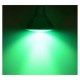 Ampoule LED E27 PAR38 16W Vert
