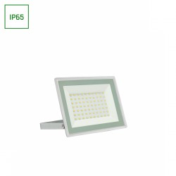 Projector LED 50W 4000K