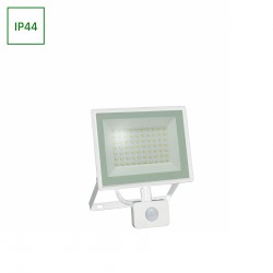 Projecteur LED 50W avec détecteur de mouvements