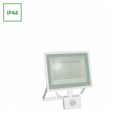 Projector 50W 4000K with motion sensor