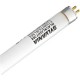 SYLVANIA F20W/T12/BL368