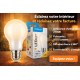Ampoule LED Filament Globe A60 E27 8W Blanc Chaud 2700K 1055 lm 360° Verre Opale