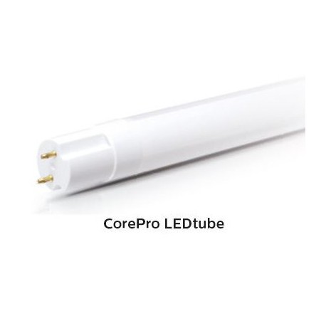 Σωλήνας των ΟΔΗΓΉΣΕΩΝ της PHILIPS CorePro LEDtube 600mm 10W 840 ( αντικαθιστά T8 18W/840 )